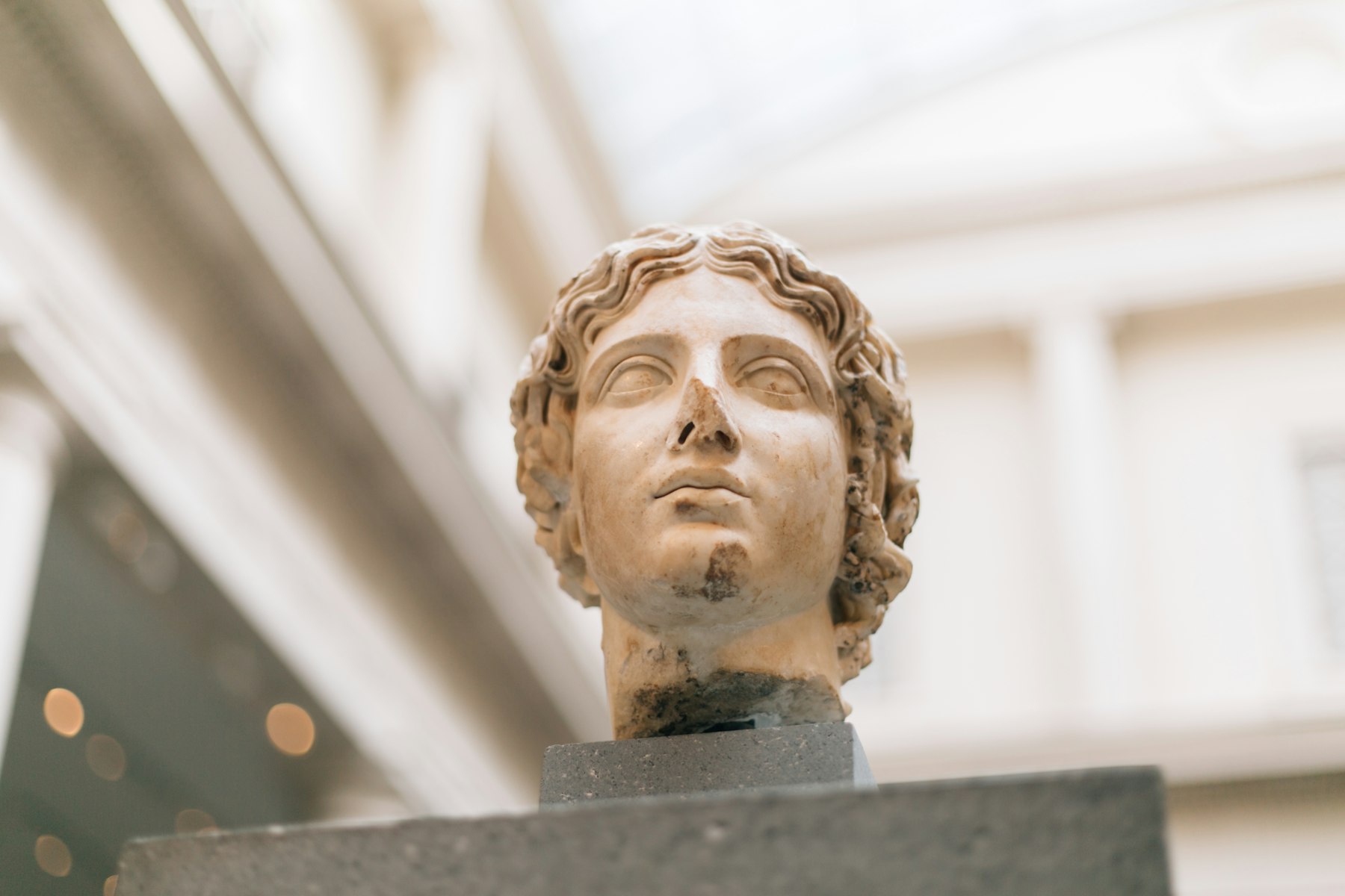 Classical bust in a museum gallery Classical bust in a museum gallery